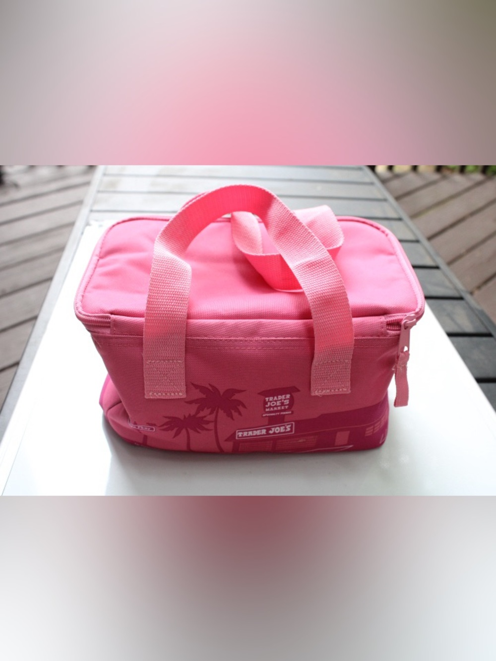 Trader Joe’s insulated bag